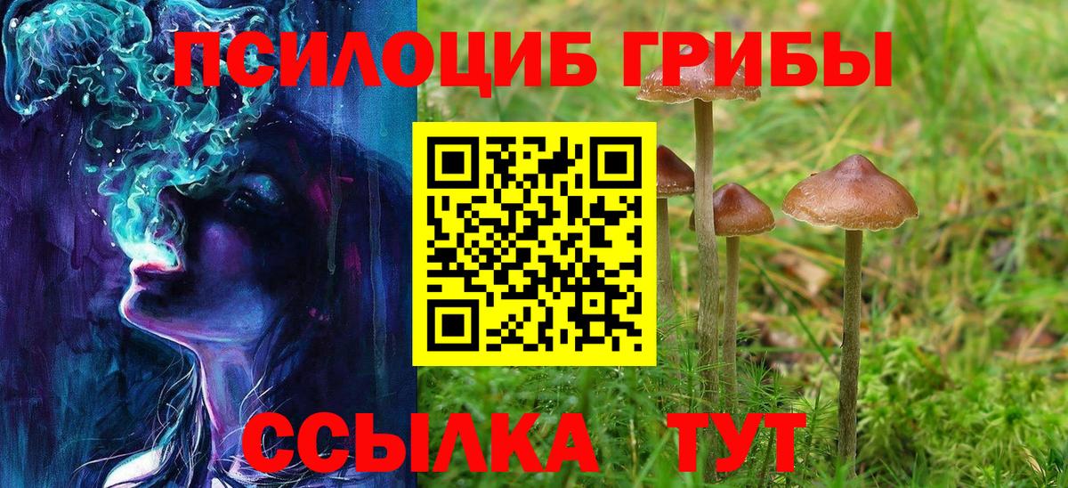 Норильск  что такое   Вход с VPN  Псилоцибиновые грибы мухоморы 